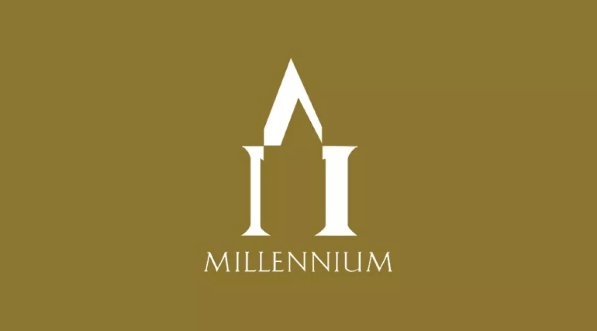 SMALL Millennium Development Logo