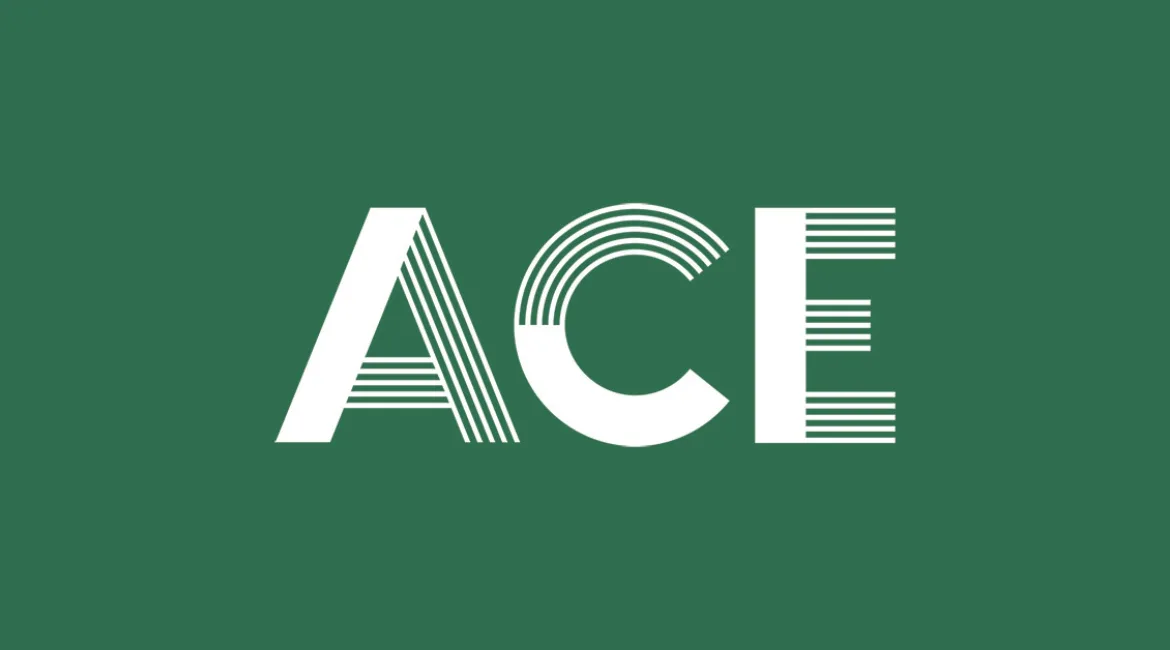 FLEX Ace by Wesgroup Logo